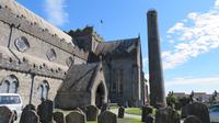 Kilkenny Kathedrale