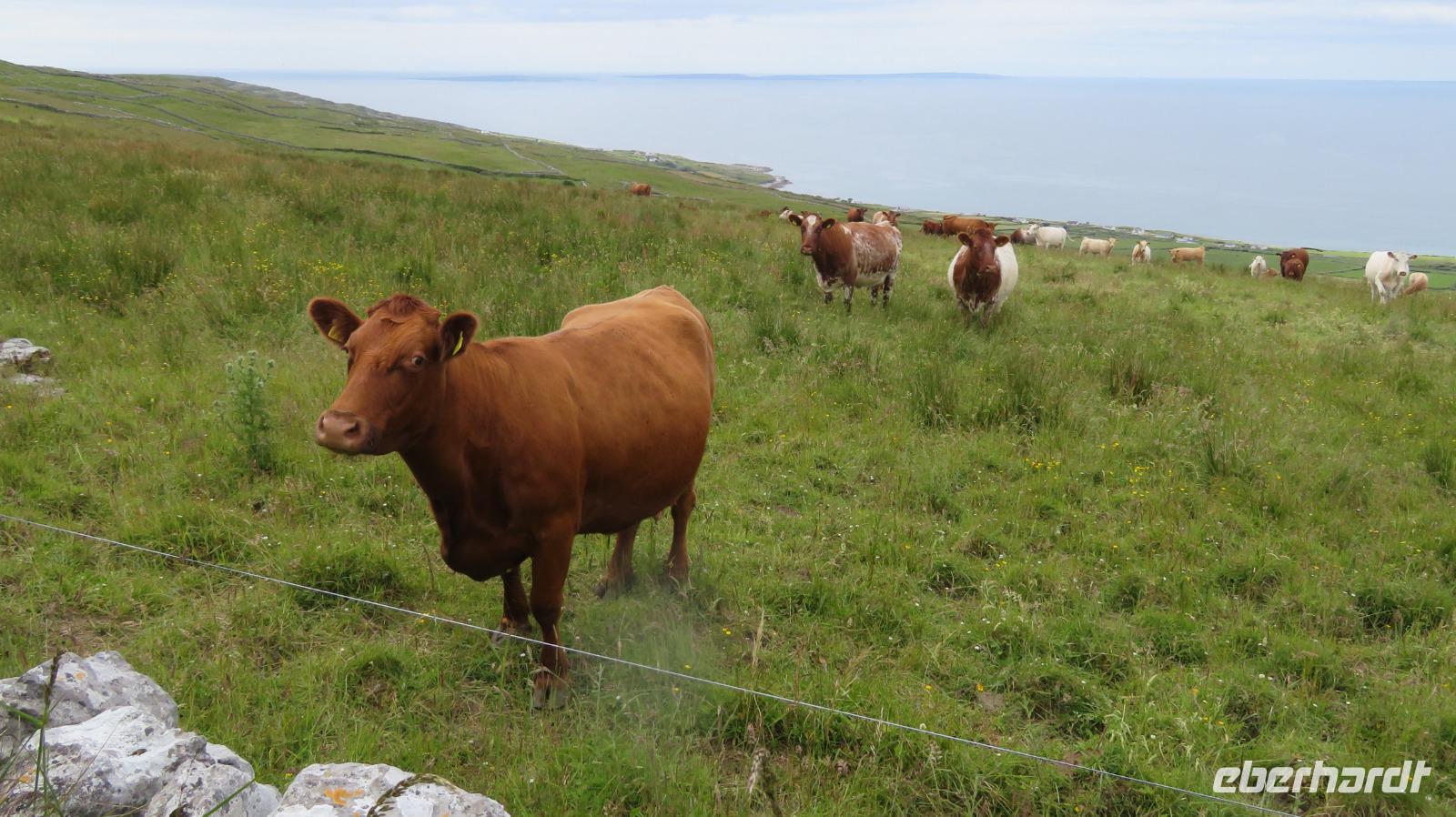 Wir werden bestaunt ... so oft kommt hier kein Bus vorbei!