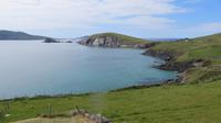 Dingle