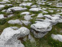 The Burren 