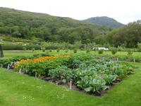 Kylemore Abbey - viktorianische Gärten