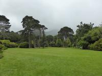 Muckross House and Garden