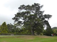 Muckross House and Garden