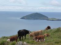 Ring of Kerry - Coomakista Pass