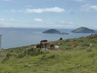 Ring of Kerry - Coomakista Pass