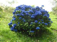 Beara Halbinsel - Eyeries