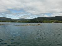 Beara Halbinsel - Überfahrt zu Garnish Island