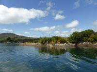 Beara Halbinsel - Überfahrt zu Garnish Island
