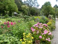 Garnish Island - Garten