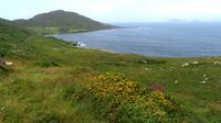 Ring of Beara