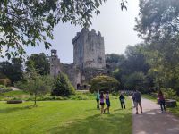 17-Blarney Castle & Gardens
