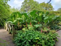 22-Blarney Castle & Gardens