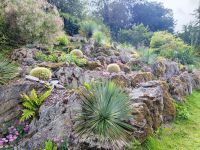 24-Blarney Castle & Gardens