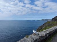 38-Dingle Peninsula