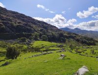 58-Kissans Sheep Farm