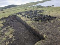 Torfabbau auf dem Weg zum Kylemore Abbey