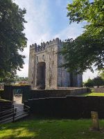 Bunratty Castle, außen 