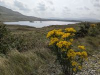 Maam Cross Viewpoint