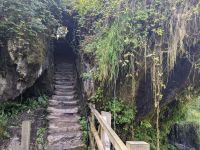 Wunschtreppe in den Blarney Gardens