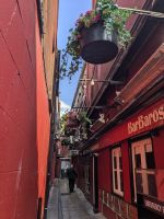 Rote Gasse in Cork
