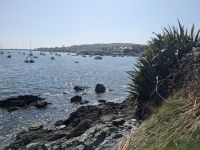 Segelboote in Schull