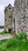 Dunguaire Castle &ndash; &copy; Constanze Maißel (Eberhardt TRAVEL)