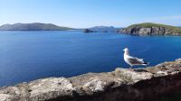 Dingle &ndash; &copy; Constanze Maißel (Eberhardt TRAVEL)