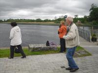 Auf Fotosafari am Shannon