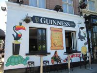 Stadtrundfahrt in Dublin