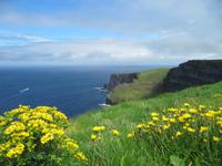 Cliffs of Moher