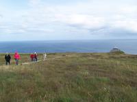 Führung auf den Ceide Fields