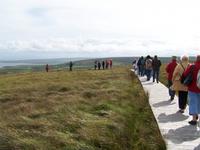 Führung auf den Ceide Fields