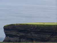 Blick von den Ceide Fields