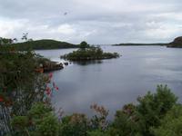 Pontoon Bridge am Lough Conn