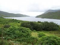 Killary Harbour
