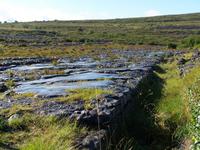 im Burren-Gebiet