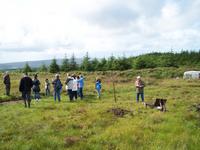 beim Torfstechen mit Joe