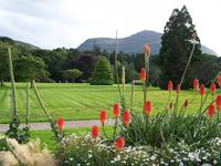 Muckross Garden