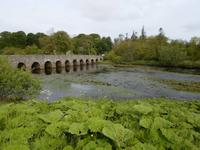 Fotostopp nach Killala