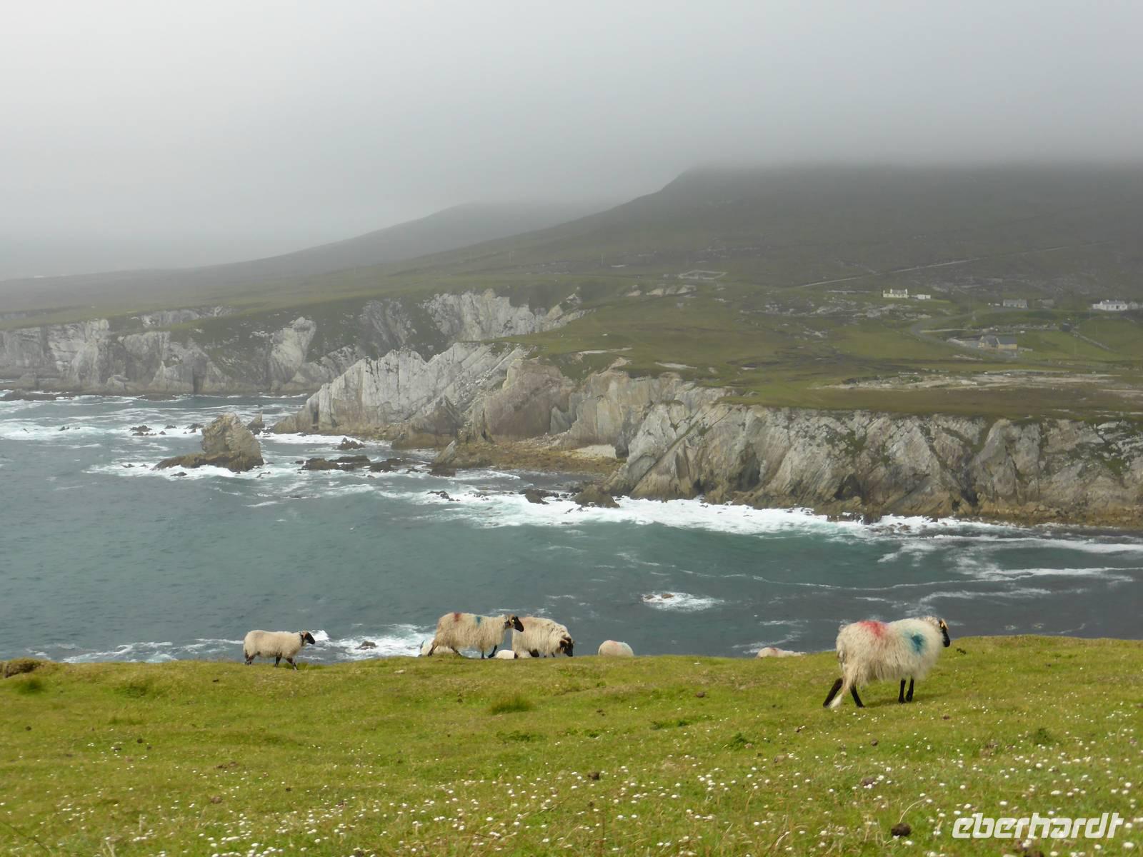 Achill Island - auf dem Atlantic drive