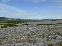 Burren
