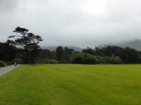 Park am Muckross House