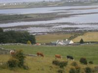 Blick auf die Galway Bay