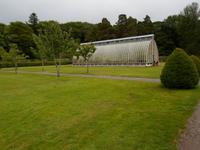 Park in Muckross