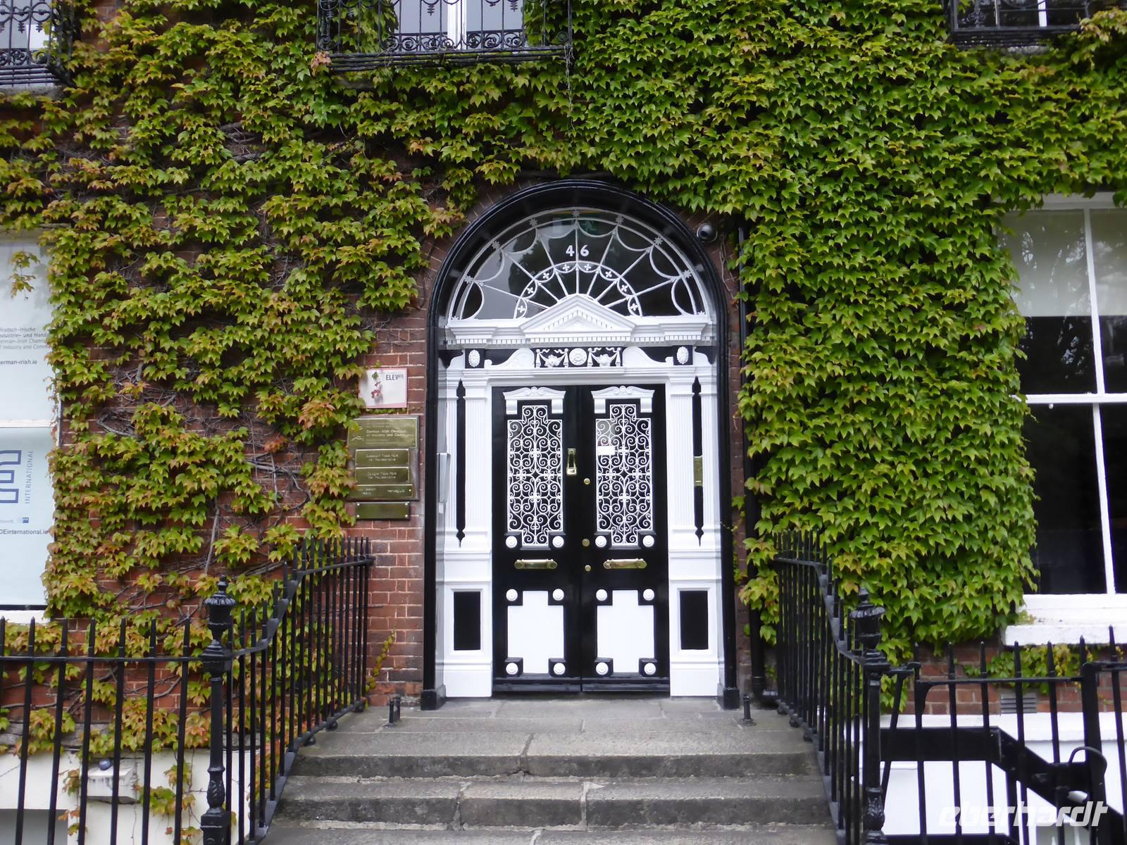 Stadtrundfahrt in Dublin - georgianische Tür am Fitzwilliam Square