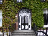 Stadtrundfahrt in Dublin - georgianische Tür am Fitzwilliam Square