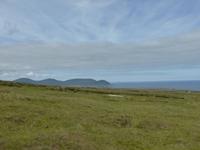 County Mayo - Ceilde Fields - Stags of Broad Haven