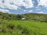 Connemara National Park