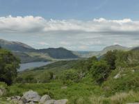Ladies View im Killarney NP