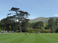 Muckross House - Parkanlage